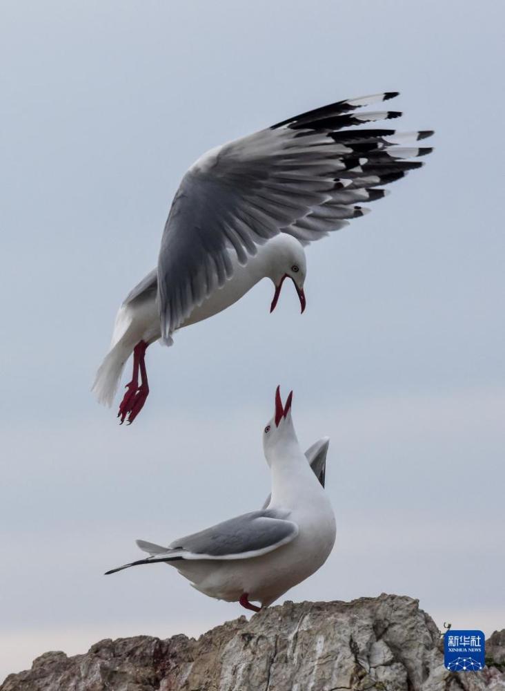 国际一周看天下