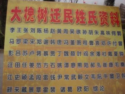 600年前的明朝大移民,812个姓氏从山西大槐树下出发,有你先祖吗