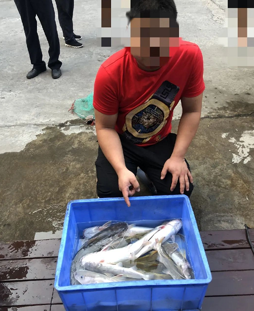 淡水鱼芝麻剑是国家二级保护野生动物划重点!