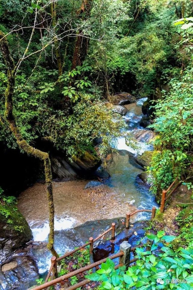 哀牢山,一座神奇的山脉,藏着数不尽的宝藏景点