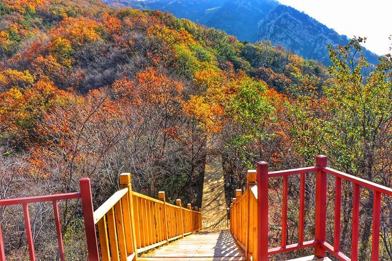 世外山水画,传奇梨木台新浪微博:@天津梨木台风景区