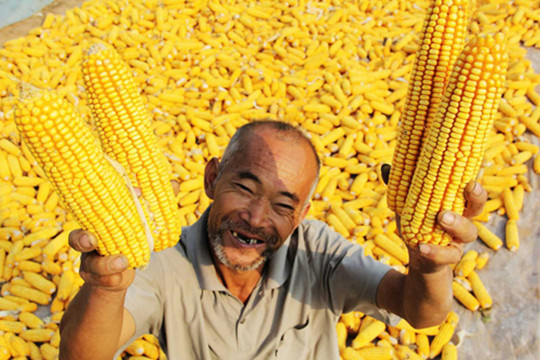 愿每一个收获季都能风调雨顺,愿每一个农民伯伯都能够大获丰收.
