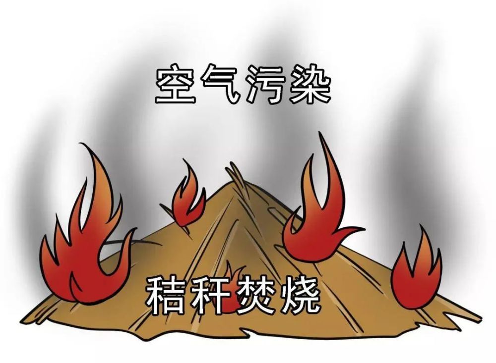 平遥:3人在农田焚烧被治安处罚