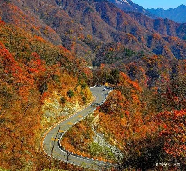 由500裡仙風道骨自駕線,紅色征程主題線和馬丁公路越野線三部分組成