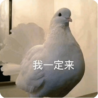 沙雕可爱表情包i一起看笨蛋