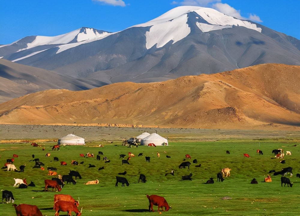 "蒙古国"现状,带你看看真实的外蒙古_腾讯新闻