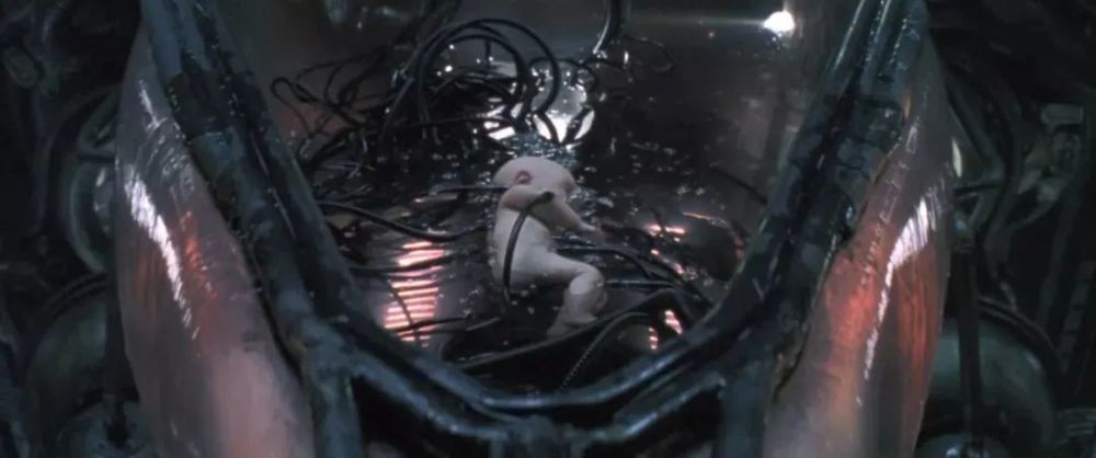 有生之年竟然等来黑客帝国重启