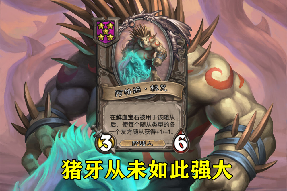酒馆战棋"圣盾猪牙流"怎么玩?被低估的切分者是关键,配合超多