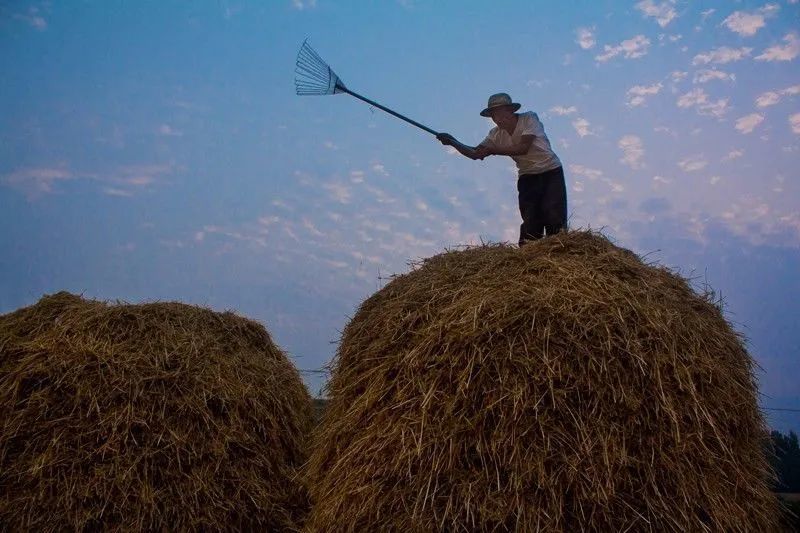 贾龙杰:垛麦秸垛