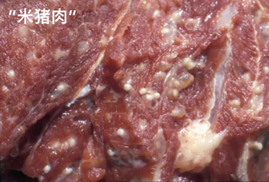 四川发布一级预警猪肉10连跌但这三类猪肉再便宜也不能买