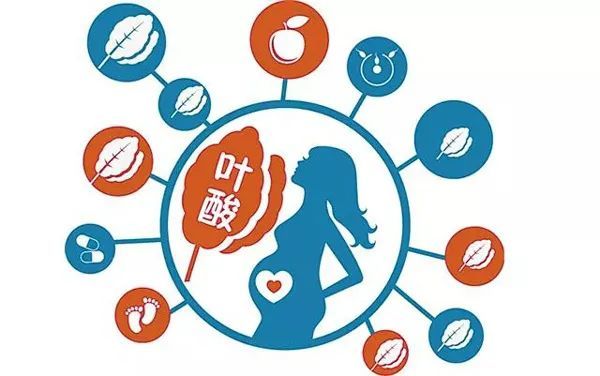 老年人补叶酸什么时间吃最好 _叶酸什么时间吃最好