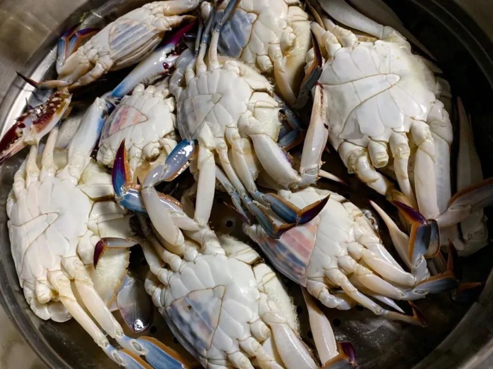 走,我们去烟台吃梭子蟹!