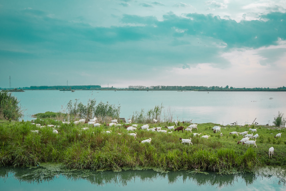 骆马湖,苏北平原上难得一见的"山水画廊",被誉为东方小威尼斯