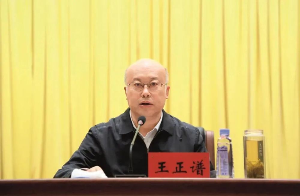 王正谱全面推动乡村振兴的驻村帮扶责任落实