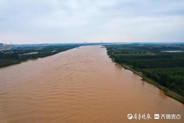 黄河东营段堤坝坚固迎黄河洪峰