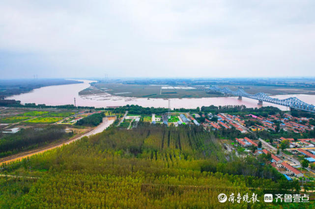 黄河东营段堤坝坚固迎黄河洪峰