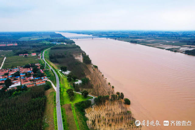 黄河东营段堤坝坚固迎黄河洪峰