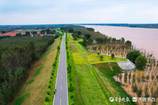 黄河东营段堤坝坚固迎黄河洪峰