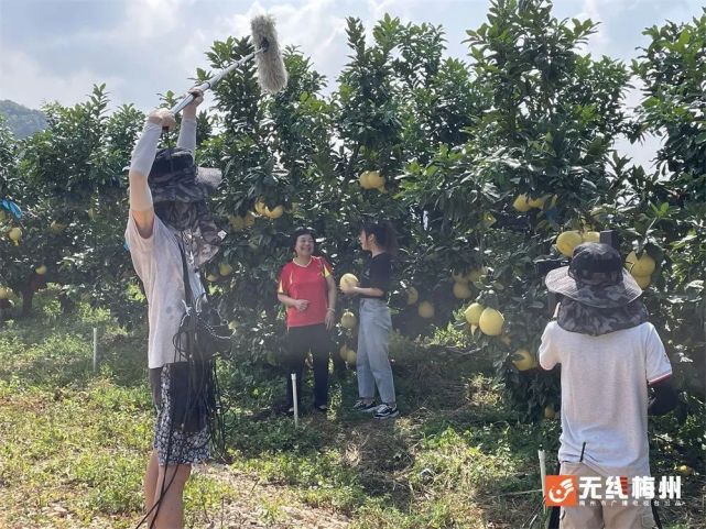 讲好客家故事助力乡村振兴丨围屋人家第九季今天亮相客家生活频道