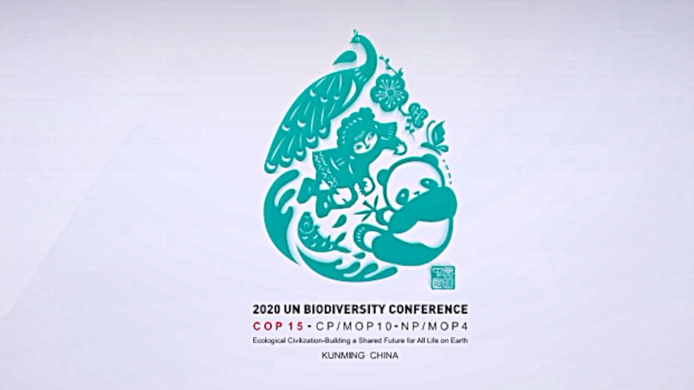 多样云南央视新闻邀您共赴cop15昆明之约