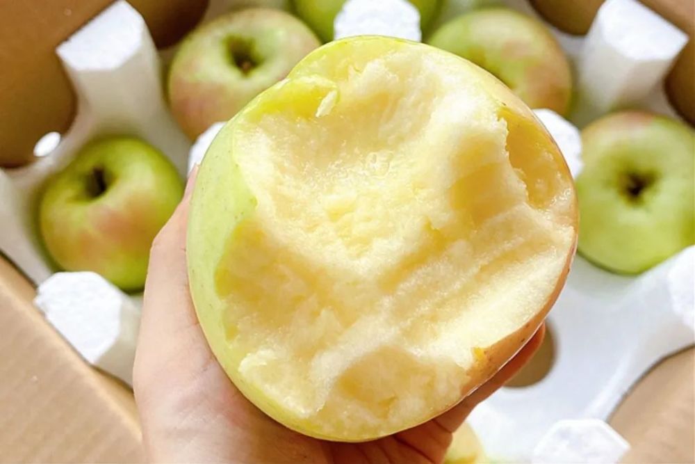松松脆脆徒手捏爆汁青森苹果细细咂有股蜜桃香