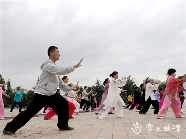 曲靖市太极拳学会义务推广沙式十二式太极拳