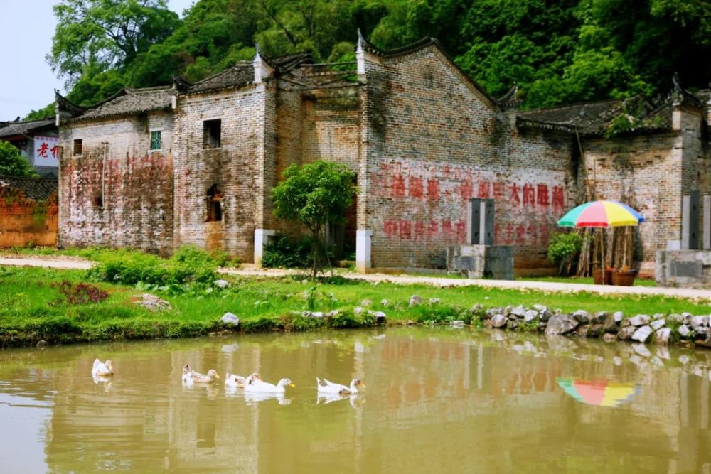 白沙镇旧县村:文化铸魂,推动乡村旅游高质量发展