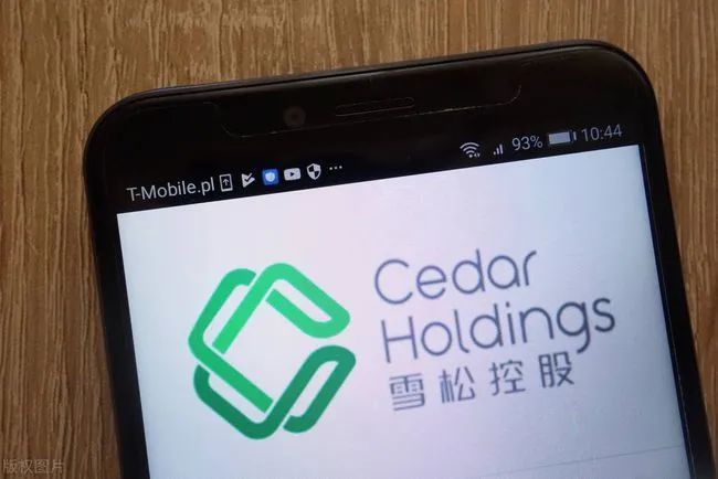 濒临雪崩依然玩火雪松集团有多大胆