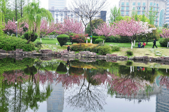 四季都值得去的寧波月湖公園