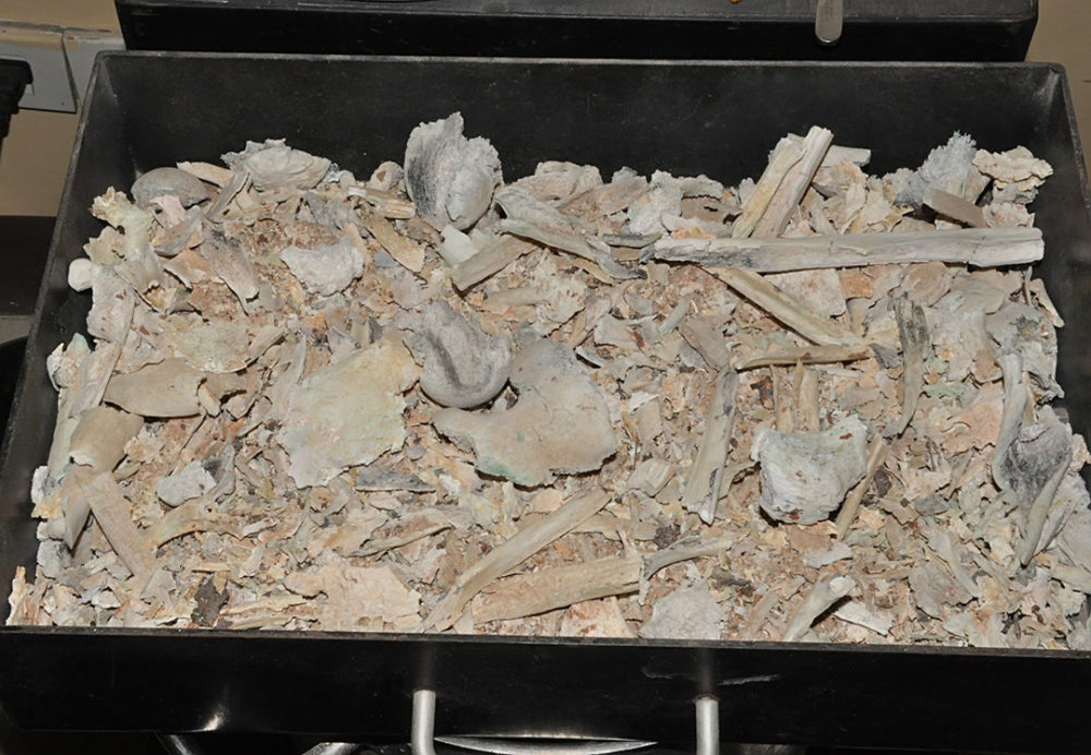 骨灰多年后又会变成什么?