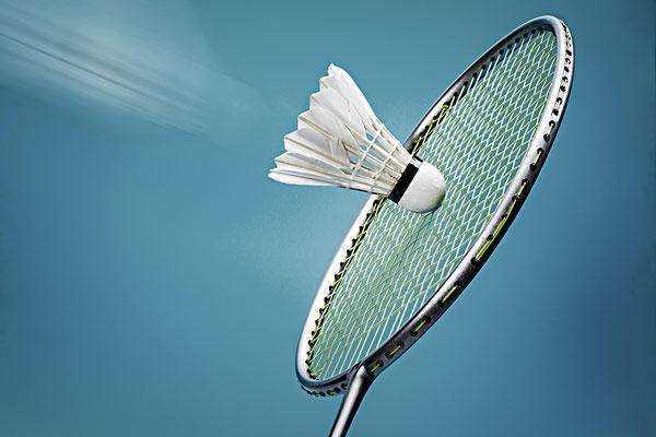 记者帮初学者买什么价位的羽毛球拍专业人士说两三百元足够了