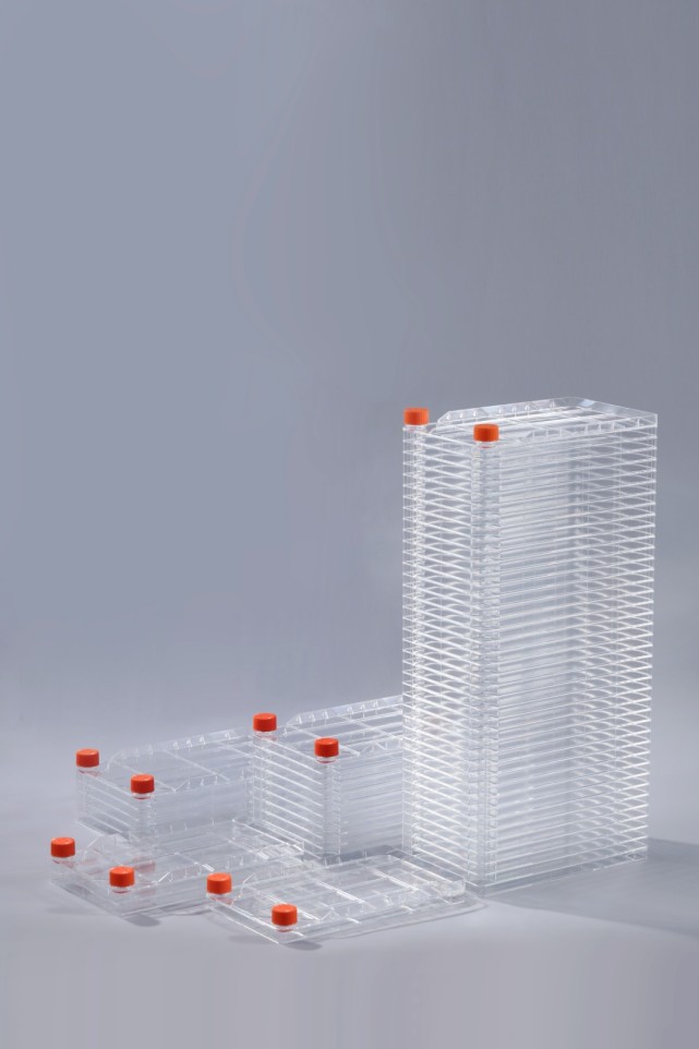 如何对细胞培养瓶内的细胞进行传代