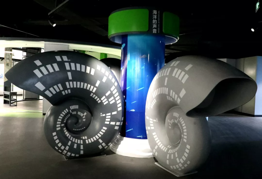 威海新添一座海洋科技馆_腾讯新闻