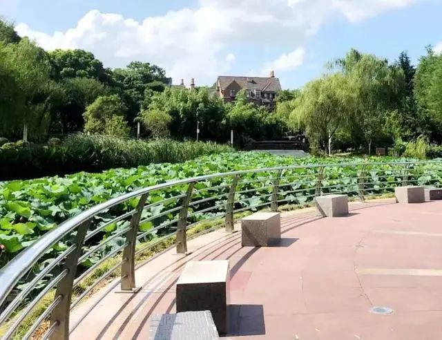 很多人在无意中"撞入"诸翟公园,顷刻间被她的美景所打动,从此把她列为