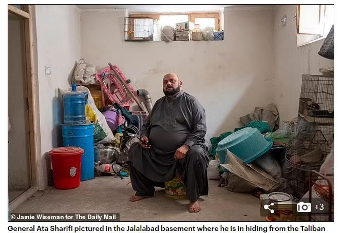 沙里夫 图源:《每日邮报》