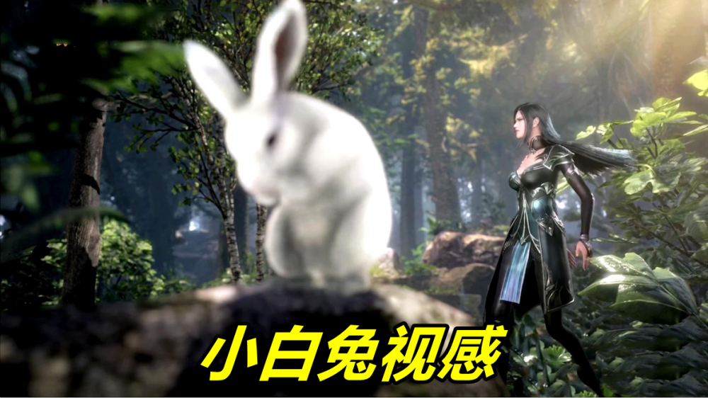 斗罗:魂兽小舞蜕变史,从野兔到柔骨魅兔,不献祭还不如大白兔