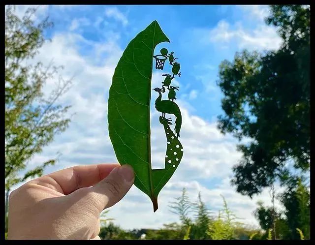 树叶上的唯美雕刻一叶一世界