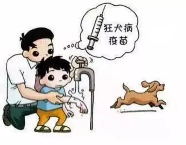 新醫三附院可以接種狂犬疫苗了!