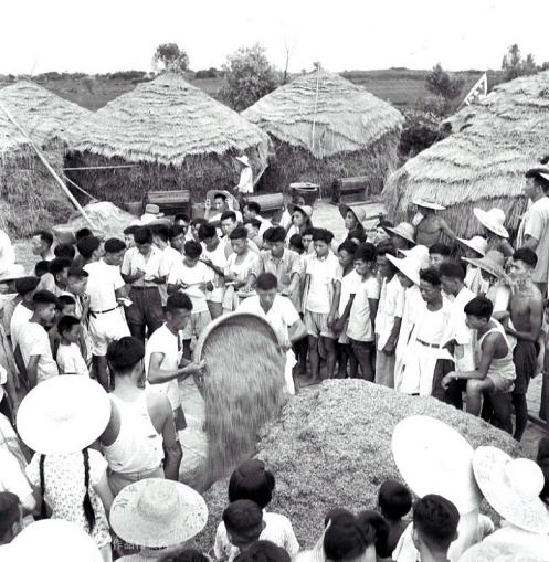 1949年浩光实行土地改革,让"耕者有其田",但一些农民缺钱,缺农具,为