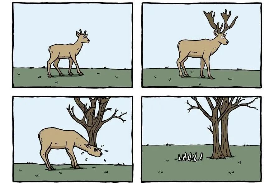 14幅无厘头的四宫格漫画,结局出人意料,充满幽默感_腾讯新闻