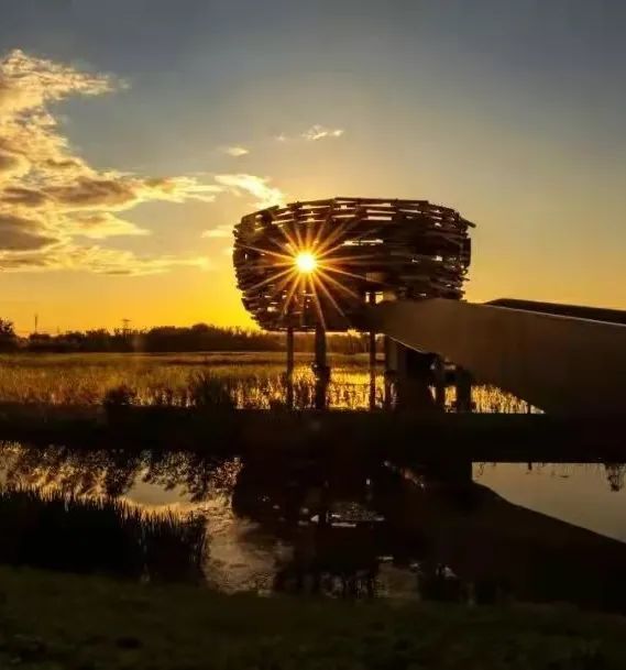 征集令|秋意正浓,摄影大赛邀你定格心中的"醉美孙河"!