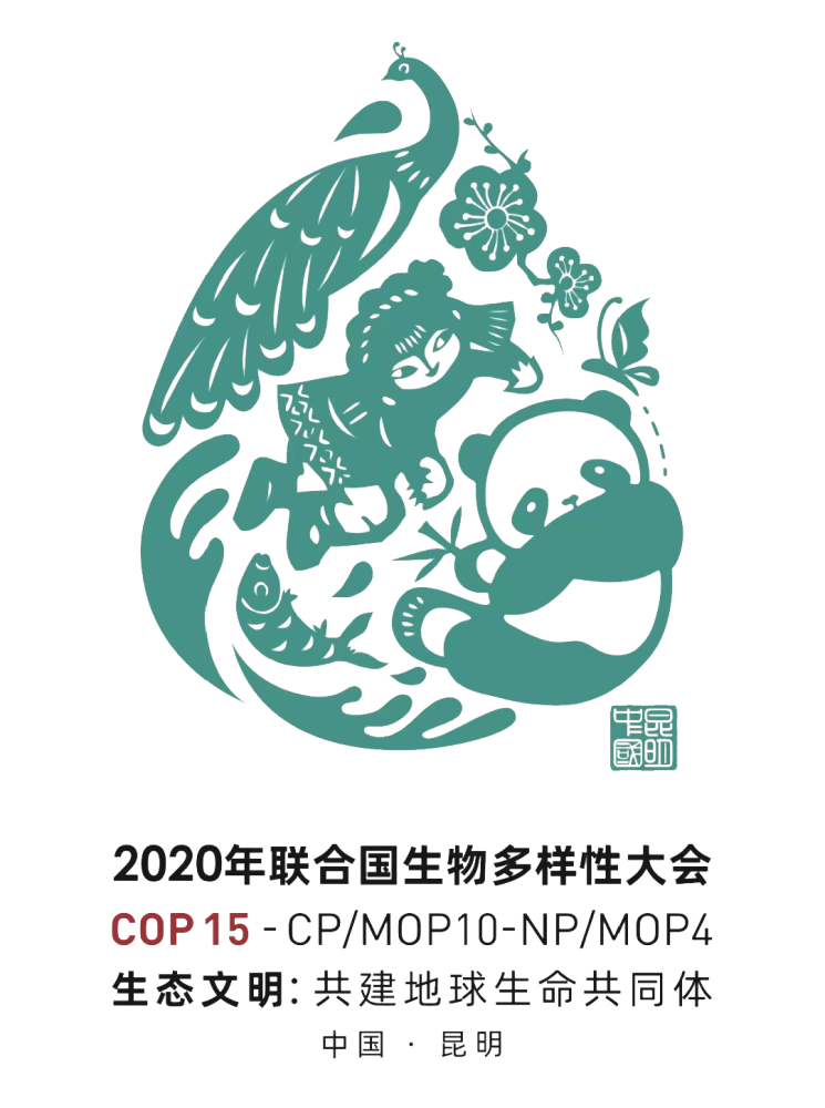 【cop15】今天开幕,跟着小编现场感受这场盛会_腾讯新闻