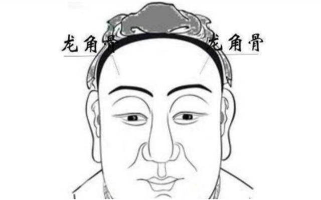 头生九龙骨 早晚必显贵 老祖宗口中的 九龙骨 是指什么 腾讯新闻