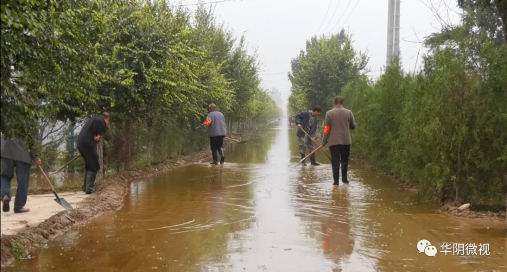 我市因雨受灾严重,南严村防汛突击队昼夜排涝抢收