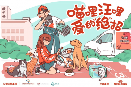 皇家助力文明养宠进高校,"喵哩汪哩"校园流浪犬猫关爱活动树新风