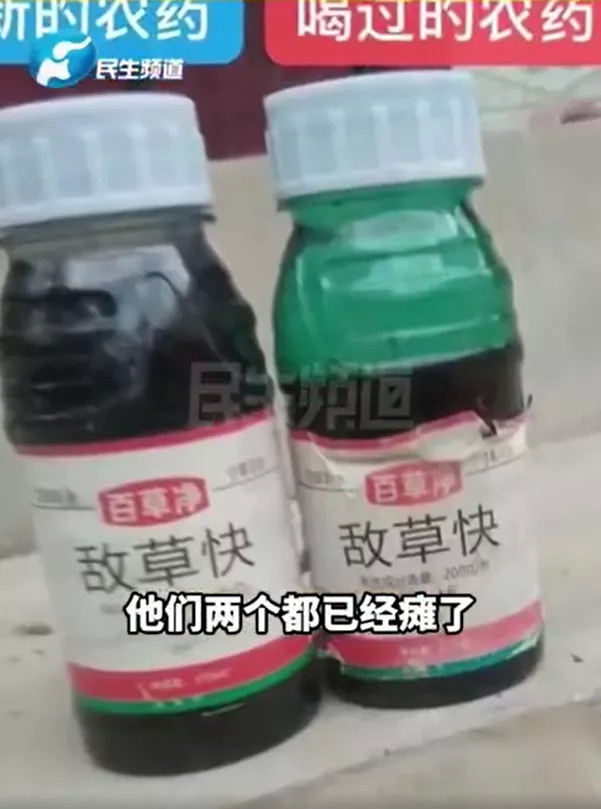 顶流＋大咖，却是最难火的综艺徐州的煤炭有多少年形成