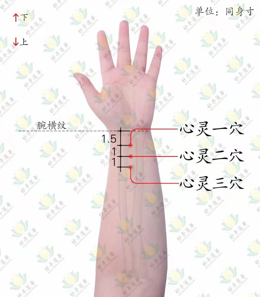 案例穴位经络调月经疏肝养肾益气活血