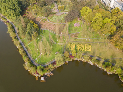 栽个花,种个树 这都是"小场面" 重大校园里直接弄了个正经植物园 坐拥