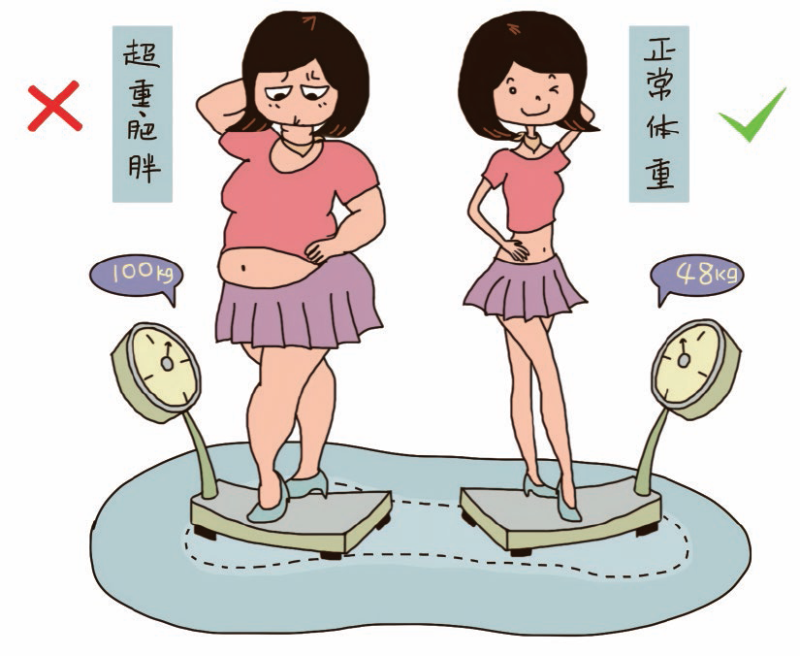 秋季怎么瘦身瘦身?