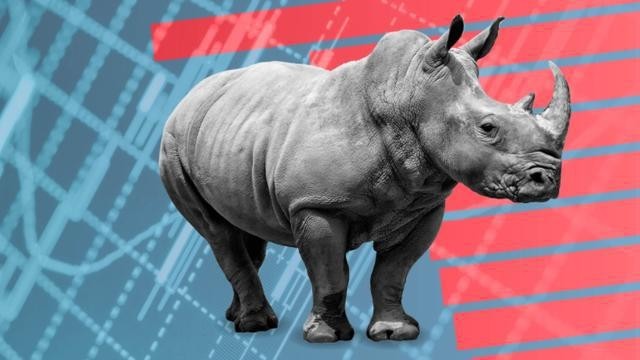 灰犀牛一触即发美国财团正囤积资金随时准备进场收割